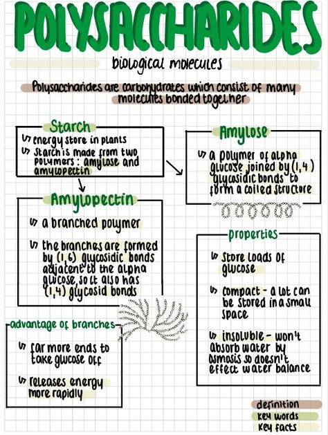 Aesthetic notes using @flexcil Aesthetic Notes, Biology, Science, Energy, Quick Saves