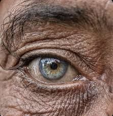 Eye Photography - Everything you need to know - NFI Eye Reference, Eye Structure, Eye Study, Eyeball Art, The Human Eye, Eyes Artwork, Photos Of Eyes, Old Faces, Male Eyes