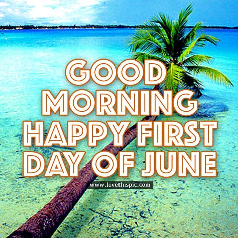 Good Morning, Happy First Day Of June June Sayings, June 1st Quotes, June 1 Quotes, Happy First Day Of June, Happy New Month Messages, One Day Quotes, June Pictures, Happy New Month Quotes, New Month Wishes