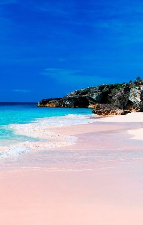 Kings Wharf, Bermuda | Pink sand beaches. Yes, they exist. Up your weekend adventures and explore the unique sands that line the coast of Bermuda, when you cruise with Royal Caribbean. Pink Sands Beach, Bahamas Honeymoon, Bermuda Beaches, Harbour Island Bahamas, Harbor Island, Bahamas Island, Pink Sand Beach, Beach Pink, Harbour Island