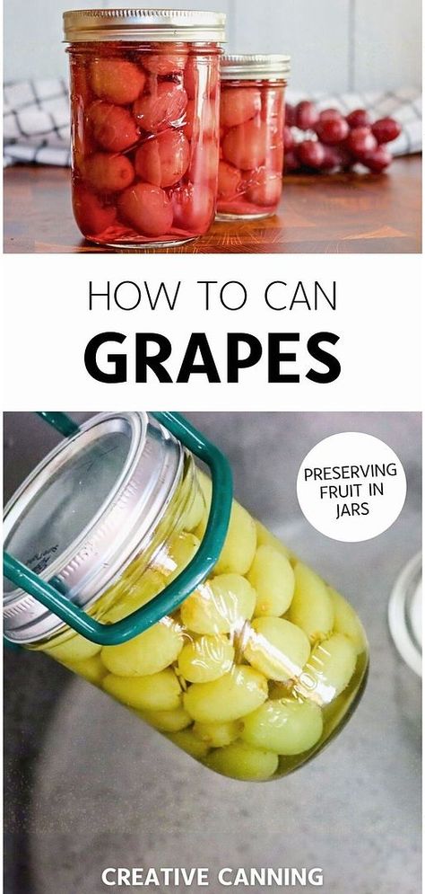 Discover How to Can Grapes with our easy water bath canning guide, tailored for preserving fruit in jars. This method ensures you enjoy the delicious taste of Concord and green grapes year-round. A great way to make use of seasonal fruit and add extra sweetness to your pantry without any added sugar. Learn more canning recipes for beginners and fruit preserves tips at creativecanning.com. Canning Grapes, Fruit In Jars, Canning Recipes For Beginners, Canning Fruit Recipes, Grape Jam Recipe, Homemade Grape Juice, Canning Guide, Preserving Fruit, Water Bath Canning Recipes