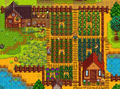 Stardew Valley Crops, Stardew Valley Summer, Stardew Valley Farm Layout, Summer Crops, Stardew Valley Farm, Stardew Farms, Stardew Valley Layout, Stardew Valley Tips, Stardew Valley Farms