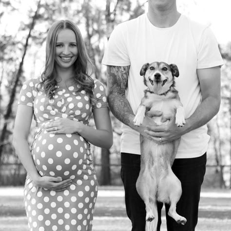 Maternity Photography With Small Dog, Maternity Photos With Dogs Ideas, Fun Maternity Photos, Fun Pregnancy Photos, Fun Maternity Pictures, Fun Maternity Shoot, Bump Pictures, Belly Photos, Baby Bump Photos