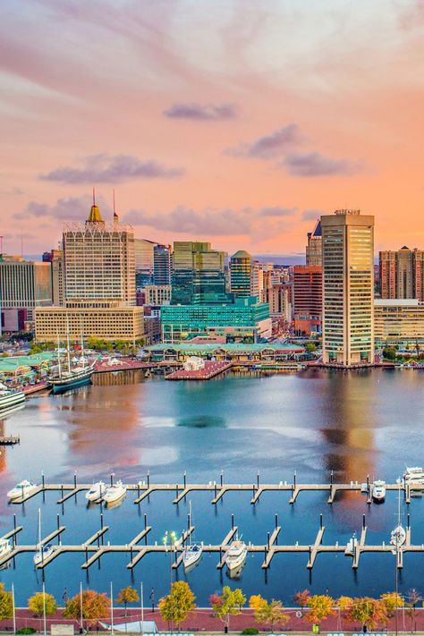 10 Best Hotels With A View Of Inner Harbor, Baltimore Inner Harbor Baltimore, Baltimore Harbor, Baltimore Hotels, Baltimore Inner Harbor, Girly Wedding, Boston Harbor, Stunning View, Best Hotels, Baltimore