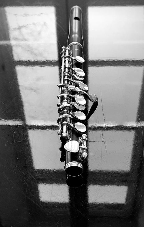 Piccolo Aesthetic, Flute Photography, Flute Aesthetic, Piccolo Instrument, Flute Tattoo, Piccolo Flute, Flute Instrument, Window Reflection, Music Things