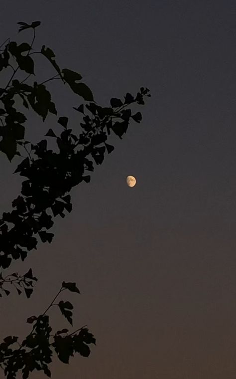 Moon Village, Night Sky Photography, Moon Clouds, Cute Black Wallpaper, Cartoon Wallpaper Hd, Funny Animal Photos, Night Vibes, Moon Lovers, Beautiful Moon