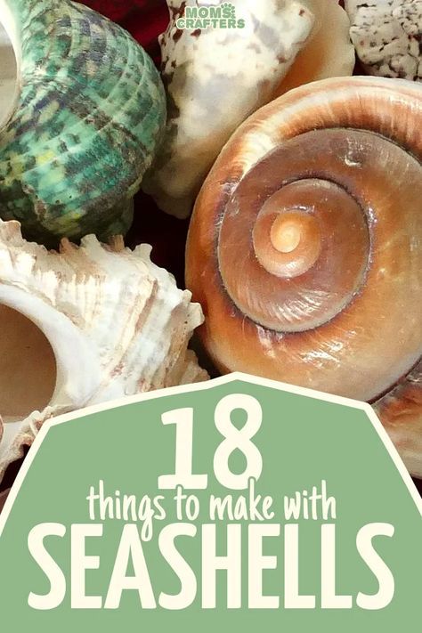 Things To Make With Seashells, Sea Shells Diy, Selling Crafts, Seashell Projects, Art Coquillage, Shells Diy, Mermaid Crafts, Arts And Crafts Furniture, Shell Crafts Diy