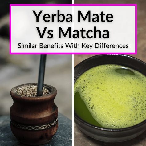 When you compare yerba mate vs matcha directly, you notice a lot of similar health benefits. But it is the differences between the two that determine which... Yerba Mate Recipes, Matcha Vs Coffee, Yerba Mate Benefits, Mate Drink, Sugar Foods, Matcha Tea Benefits, Yerba Mate Tea, Mate Tea, Matcha Benefits