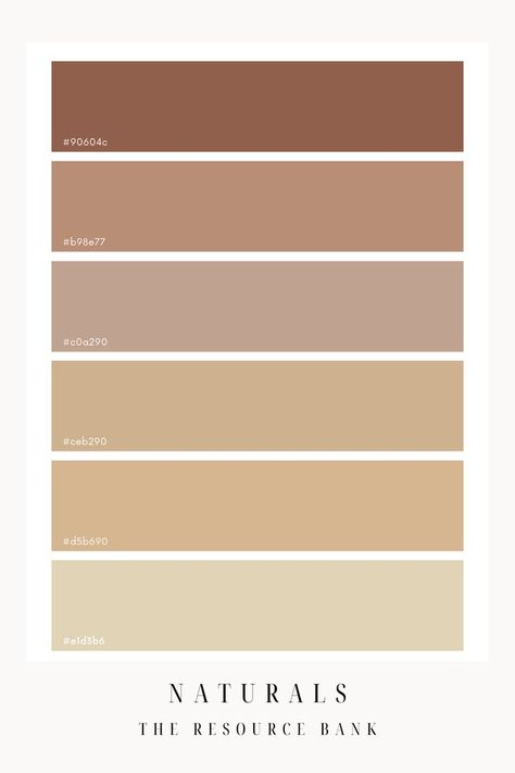 A natural colour palette, filled with warm toned nudes and browns. Use this beautiful colour palette to build a cohesive Canva design Tan Color Palette Clothes, Coffee Tone Colour Palettes, Brown Tone Palette, Brown Colour Palette Aesthetic, Brown Tones Palette, Oatmeal Colour Palette, Earthly Colour Palette, Brown Gold Colour Palette, Warm Tone Colour Palette