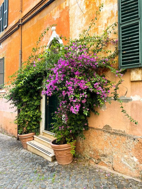 bougainvilla flowers outside of apartment door in rome, italy Italian Plants, Flowers In Italy, Italian Neighborhood, Italian Neighborhood Aesthetic, Southern Italy Architecture, Historic Italian Villa, Italian Farmhouse, Apartment Door, Apartment Garden