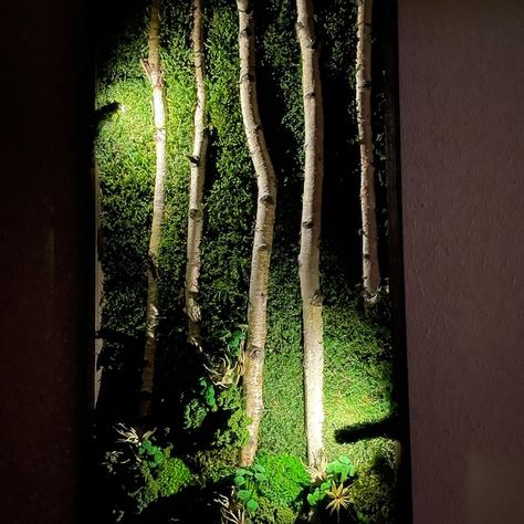 Delightful LED Lights Preserved Moss Wall Art Live Moss LED Home Décor Preserved Moss Lighted Framed Moss Wall Art Green Home Decoration Eko - Etsy Finland Preserved Moss Wall Art, Preserved Moss Wall, Art Live, Wall Art Green, Moss Wall Art, Moss Garden, Preserved Moss, Moss Wall, Lighting Setups