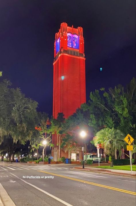 Uf Wallpapers, Uf Aesthetic, Uf Campus, Fsu Vs Uf, Future Collage, Romanticizing College, Dream University, Uf Gators, Gators Football