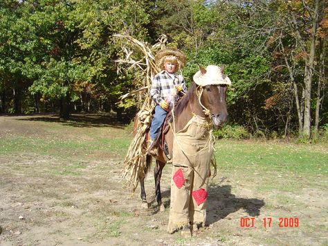 Horse Fancy Dress Costume, Horse Halloween Ideas, Horse Fancy Dress, Pony Costume, Horse Halloween Costumes, Horse Halloween, Halloween Horse, Pet Information, Horse Costume