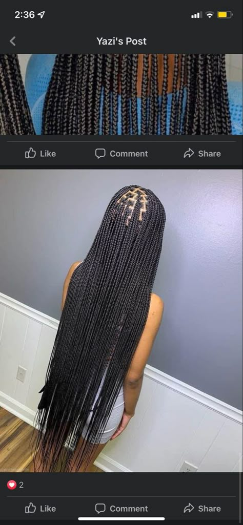 Small Knotless Box Braids Knee Length, Small Knotless Braids Knee Length, Small Knotless Braids Hairstyles Long, Small Knotless Knee Length, Small Long Braids For Black Women, Smeduiem Knotless Long, Small Medium Knotless Braids Long, Small Part Knotless Braids, Long Smeduiem Knotless