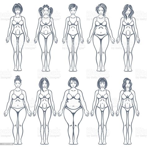 Body Types Illustration, Fat Anatomy, Illustration Types, Women Body Types, Drawing Women, 3d Reference, Body Type Drawing, Body References, Women Illustration