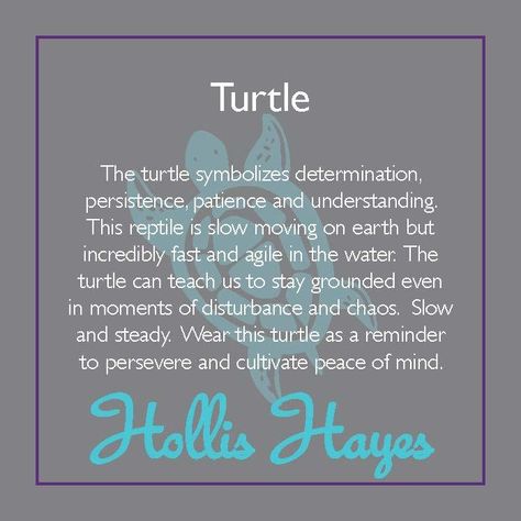 Advice From A Turtle, Symbols Of Perseverance, Sea Turtle Quotes, Turtles Quotes, Turtle Sayings, Turtle Wisdom, Turtle Meaning, Turtle Spirit Animal, Turtle Symbolism