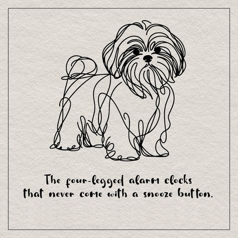 Shitzu Puppies Tattoo, Shih Tzu One Line Drawing, Dog Memorial Tattoos Shih Tzu, Maltese Shih Tzu Tattoo, Cute Shih Tzu Drawing, Shih Tzu Embroidery, Dog Drawing Shih Tzu, Shitzu Drawing Simple, Shih Tzu Silhouette