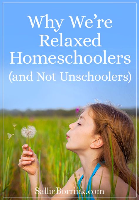 Unschooling Preschool, Life Schooling, Homeschool Unschooling, Homeschool Methods, Unschooling Resources, Eclectic Homeschooling, Homeschool Styles, Start Homeschooling, Me As A Parent