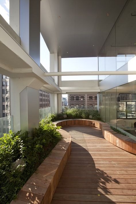 Advertising Agency Office, Terrace Office, Roof Landscape, Green Ceiling, Collaboration Area, Agency Office, Architecture Company, Curved Furniture, New York Office