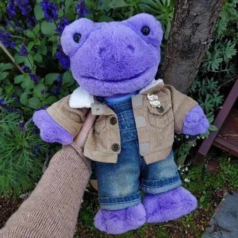 Purple Build A Bear Frog, Bab Frog Outfits, Build A Bear Frog Outfit Ideas, Build A Bear Outfit Ideas, Build A Bear Outfits Aesthetic, Build A Bear Frog Outfits, Build A Bear Ideas, Cute Build A Bears, Build A Bear Aesthetic