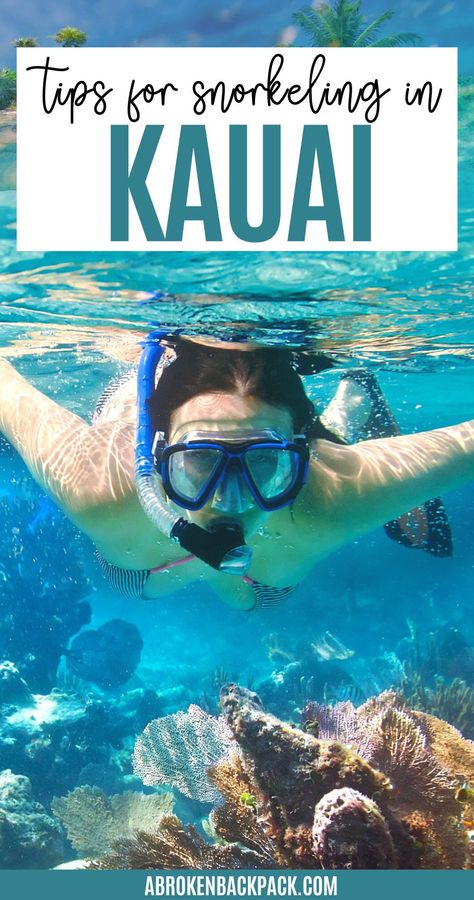 Are you looking for the BEST places to snorkel around Kauai? These amazing snorkeling spots in Kauai will make you want to stay there longer! From cool family-friendly spots and off-the-beaten-path destinations, there’s a reason why snorkeling in Kauai is one of the best things to do in Hawaii. Kauai is one of the best places to explore in Hawaii. To read more, click the pin! Kauai Snorkeling, Kauai With Kids, Best Places To Snorkel, Kauai Honeymoon, Napali Coast Kauai, Things To Do In Kauai, Hawaii Trip Planning, Kauai Travel, Hawaii Adventures