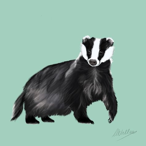 🦡 My latest artwork - I’ve had a lot of requests at the markets for a badger so here he is! I’m having some wooden pins made of this little guy and perhaps some art prints too! 🦡 #animalart #animalartwork #badgerart #britishwildlife #badger #artistsupport #artistssupportingartists #artistsofinstagram #artistsofig #scottishart #scottishartist #cuteanimal #cuteanimalart Badger Drawing, Badger Art, Badger Illustration, Wooden Pins, Honey Badger, British Wildlife, Scottish Art, Pretty Animals, Animals Artwork