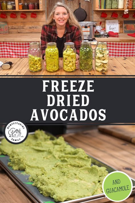 Freeze Dried Guacamole, How To Freeze Dry Fruit At Home, How To Freeze Dry Herbs, Storing Freeze Dried Food, Freeze Dry Dog Food, Freeze Dried Butter, Freeze Dried Tomatoes, Foods To Freeze Dry, Best Freeze Dried Meals