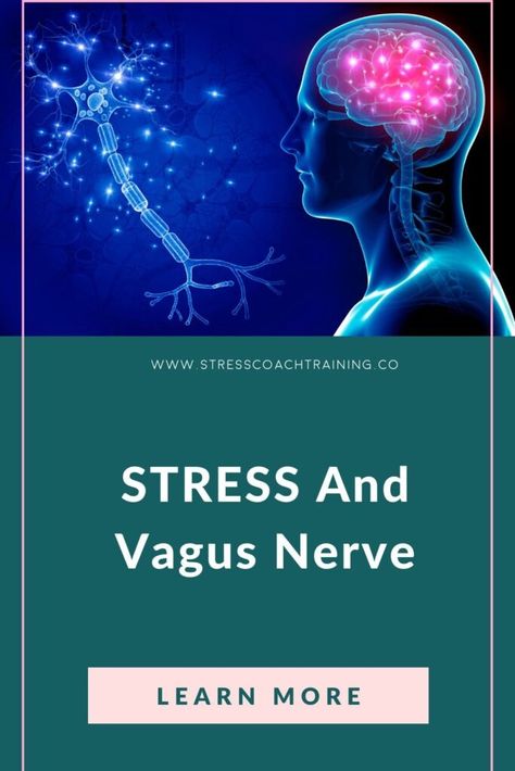 Stress and Vagus Nerve Techniques Stimulate Vagus Nerve, Glossopharyngeal Neuralgia, Quit Drinking Soda, Vegas Nerve, Social Confidence, Become A Runner, Wellbeing Quotes, Keep The Conversation Going, Journaling For Mental Health