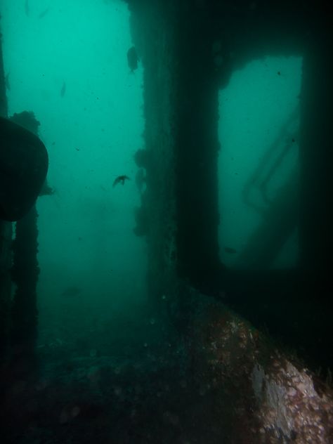 Shipwreck Aesthetic Dark, Scary Ocean Pictures, Deep Sea Scary, Spooky Ocean Aesthetic, Creepy Sea Aesthetic, Sea Horror Aesthetic, Dark Underwater Aesthetic, Creepy Aquarium, North Sea Aesthetic