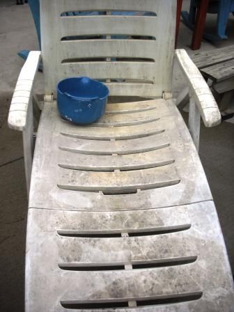 I've held onto a few pieces of decent-quality white plastic patio  furniture for years, because it felt wasteful to chuck them when they wer... Cleaning Patio Furniture, Patio Furniture Cleaner, Painting Plastic Chairs, Outdoor Plastic Chairs, Clean Outdoor Furniture, Plastic Patio Furniture, White Plastic Chairs, Plastic Outdoor Furniture, Plastic Patio Chairs