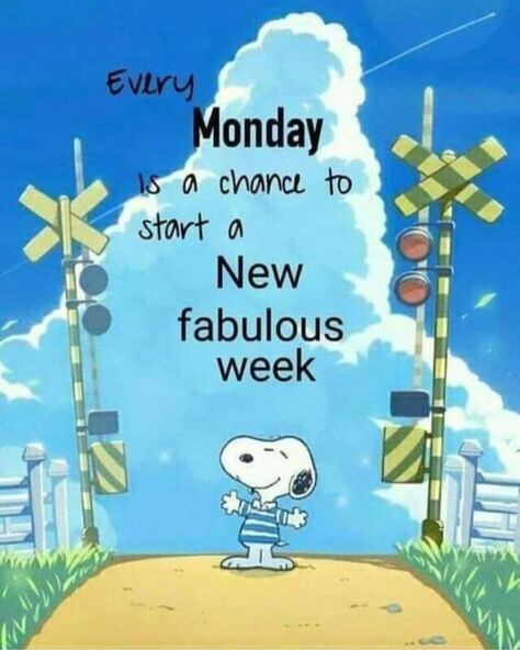 Every Monday is a chance to start a new fabulous week positivity snoopy monday morning nights days monday quotes and images best monday messages Snoopy Sayings, Monday Funny, Hello Quotes, Newspaper Cartoons, Peanut Gallery, Good Monday Morning, Week Quotes, Daily Greetings, Tuesday Quotes