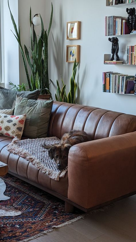 Living Room With Velvet Couch, Minimalist Living Room Leather Couch, Leather Mcm Couch, Leather Couch Aesthetic, Retro Leather Couch, Brown Leather Sofa Aesthetic, Vintage Brown Leather Couch, Tan Leather Couch Living Room, Tufted Leather Couch