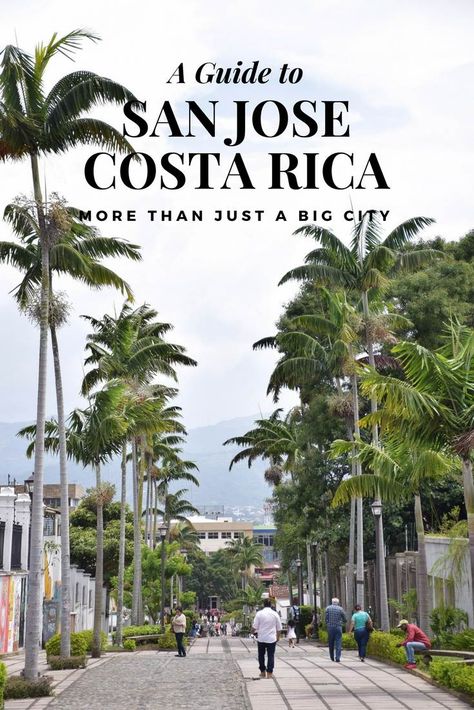 20 Exciting Things to do in San Jose, Costa Rica (& Complete City Guide!) Tortuga Island, Costa Rico, Cost Rica, Costa Ric, Costa Rica Travel Guide, Manuel Antonio National Park, San Jose Costa Rica, Visit Costa Rica, Costa Rica Vacation