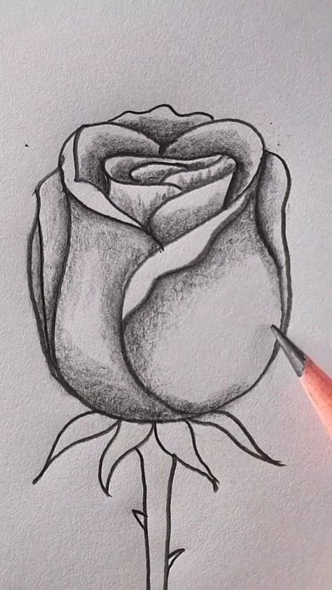 Flower Drawing Pencil Easy, Pen Sketch Flower, Best Sketches Pencil Drawings Easy, Rose Pencil Art, Roses Easy Drawing, Easy Drawing Rose, Pen Rose Drawing, Rose Drawings Easy, Pen Art Drawings Easy