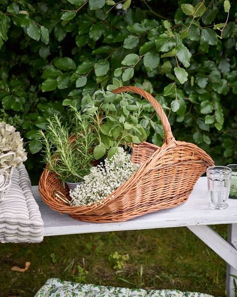 Baskets Of Fruit, Wicker Aesthetic, Muffin Basket, Fox Burrow, Art Of Gathering, Bohemian Wedding Theme, Chevron Door, Garden Hooks, Log Basket