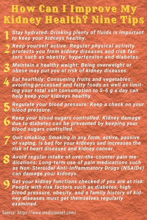 Kidneys are vital organs that perform numerous important functions in the body. They rid the body of metabolic waste and excess water. They also aid in the maintenance of the body's ionic balance and blood pressure. They aid in controlling the balance of acids. As a result, it is critical to take care of your kidneys and have regular checkups, especially if you are predisposed to kidney disease. The following are nine tips through which you can improve your kidney health. Kidney Supplements, Kidney Friendly Recipes Renal Diet, Food For Kidney Health, Improve Kidney Function, Kidney Friendly Foods, Kidney Recipes, Kidney Diet, Kidney Function, Brain Facts