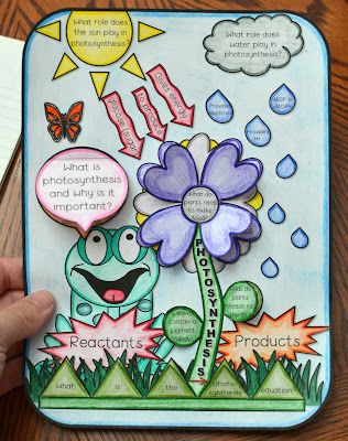 Photosynthesis Projects, Science Interactive Notebooks, Photosynthesis Activities, Science High School, Interactive Notebooks Templates, Science Chart, Photosynthesis And Cellular Respiration, Science Cells, Science Decor