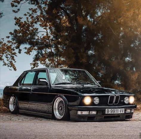 Bmw Shark, E28 Bmw, Bmw Old, Bmw 2002 Tii, Bmw E28, Bmw Classic, Bmw 2002, Bmw 535i, Bmw E30