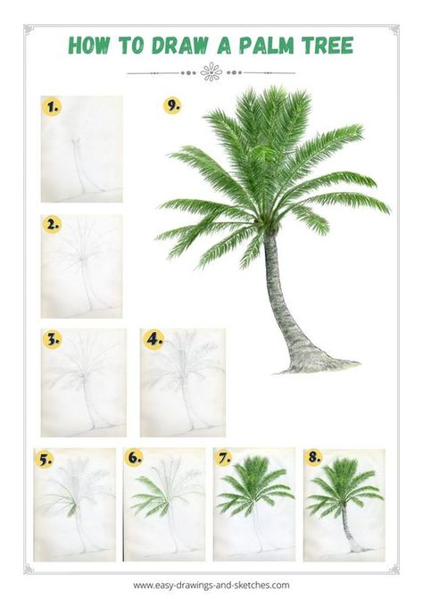 How To Draw A Palm Tree Easy, How To Draw A Palm Leaf, How To Draw A Palm Tree Step By Step, How To Paint A Palm Tree Step By Step, Simple Palm Tree Drawing, How To Draw Palm Trees, How To Draw A Palm Tree, Draw Palm Tree, Mexican Palm Tree