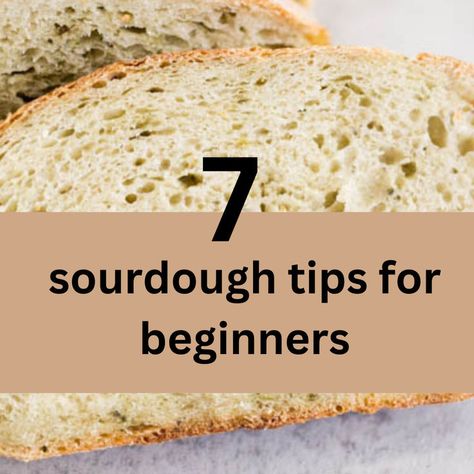 sourdough bread recipe on a plate How To Knead Sourdough Bread, Sourdough Starter How To Feed, Beginners Sourdough Bread, Sourdough Bread Terms, How To Bake With Sourdough Starter, Bread Recipe Using Sourdough Starter, I Have A Sourdough Starter Now What, Using Discarded Sourdough Starter, Sourdough Beginner Guide