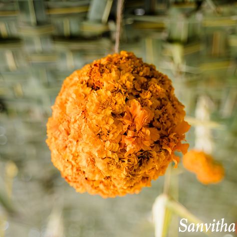 Marigold Flower Balls🌿 @sanvithas 📞💬 7997458082 #weddings #indianwedding #southindianwedding #teluguwedding #southindianbride #southindiangroom #mango #leaves #marigold #telugubride #telugugroom #groomceremony #wedding #decorations #home #decor #perfect #combination #atwork #flowers #eventdecor #floraldecor #engagement #weddingreception #pellikoduku #pellikuthuru #weddingdecor #weddingseason #instapic  #decorbysanvithas #eventplanner #hyderabad #sanvithas Mango Leaves, Family Friendly Games, Flower Balls, Telugu Wedding, Drink Bar, Bell Decorations, Marigold Flower, Indian Groom, Flower Ball