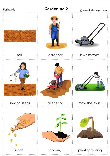 Gardening 2 flashcard Verbs For Kids, Garden Objects, English Conversation Learning, English Grammar For Kids, Sowing Seeds, Learning English For Kids, English Learning Spoken, English Worksheets For Kids, Flashcards For Kids