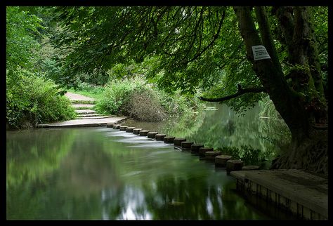 Stepping Stones over the River Mole, Box Hill, Dorking Stepping Stone Paths, Box Hill, Beside Still Waters, South East England, Surrey England, Stone Bridge, Stone Path, Over The River, Investment Banking