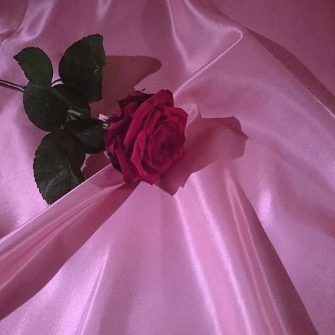 Pink silk. ROSE 🌹 Coquette Lovecore, Briar Beauty, A Single Rose, Catty Noir, Aesthetic Roses, Rosé Aesthetic, Single Rose, Aesthetic Pics, Aesthetic Images