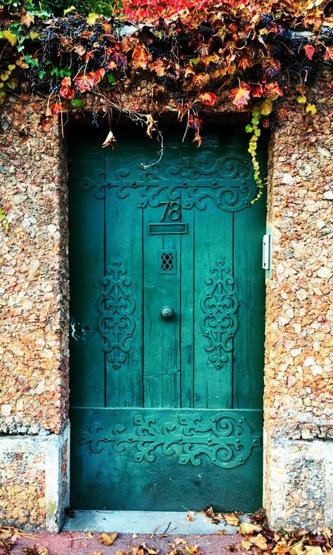 Épône, Yvelines, France When One Door Closes, Gorgeous Doors, Vintage Doors, Porte Decorate, Cool Doors, Green Door, 수채화 그림, Old Doors, Unique Doors