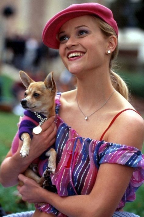 You're Wrong If You Don't Think Chihuahuas Are The Best Dogs On This Good Earth Bruiser Woods, Legally Blonde Movie, Blonde Movie, Elle Woods, Legally Blonde, Movie Fashion, Reese Witherspoon, Movie Photo, Iconic Movies