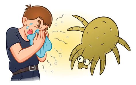 A dust mite causing a boy to sneeze and have allergies Bed Mites How To Get Rid Of, Dust Mites Allergy, Kill Dust Mites, Signs Of Termites, Dust Mite Allergy, Food Allergies Awareness, Allergy Awareness, Summer Coloring, Home Beauty Tips