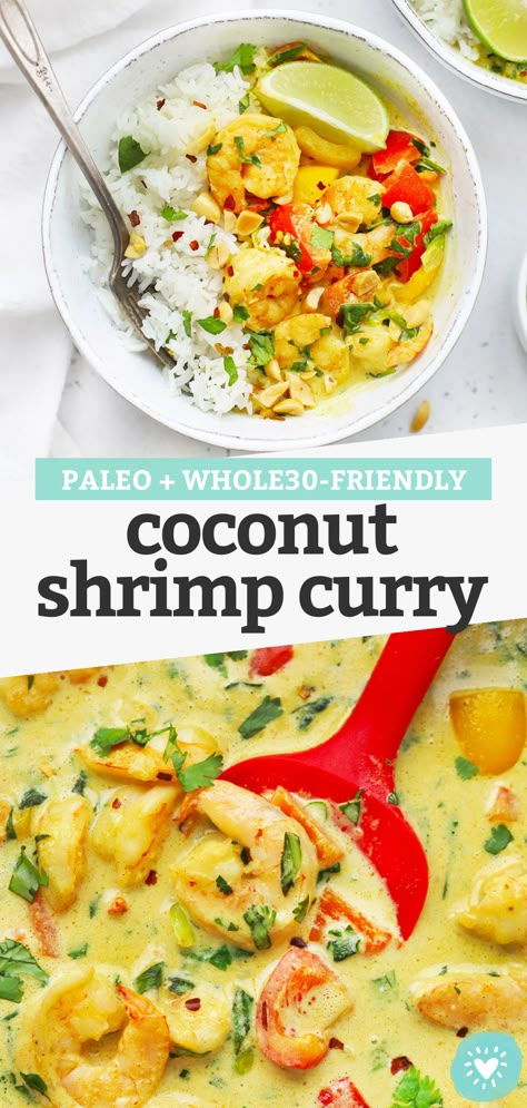 Creamy Coconut Shrimp, Shrimp Curry Recipe, Coconut Shrimp Curry, Paleo Curry, Curry Easy, Coconut Curry Shrimp, Coconut Shrimp Recipes, Shrimp Curry, Colorful Veggies