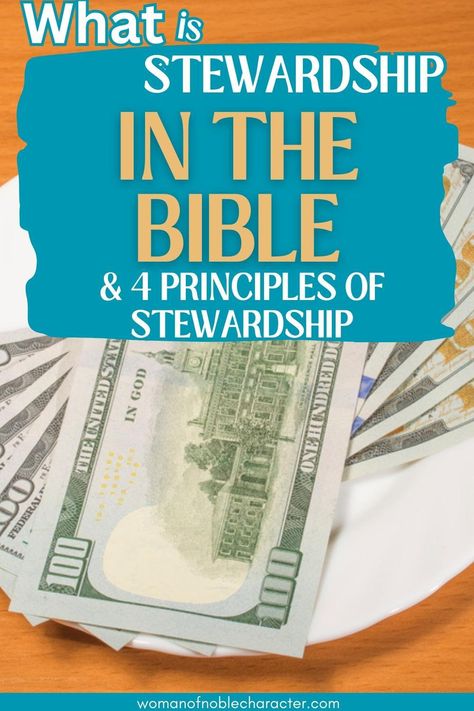 Biblical Stewardship, Best Study Bible, Caroline Leaf, Learn The Bible, Bible Resources, Biblical Womanhood, Bible Says, Bible Study Notebook, Bible Characters