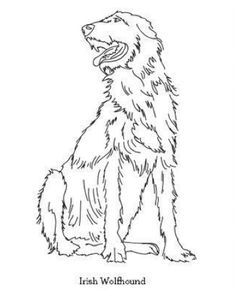 Wolf Hunting, Irish Wolfhound Dogs, All Dog Breeds, Irish Wolfhounds, Flower Line Drawings, Dog Sketch, Mother Daughter Tattoos, Irish Wolfhound, Tattoos For Daughters